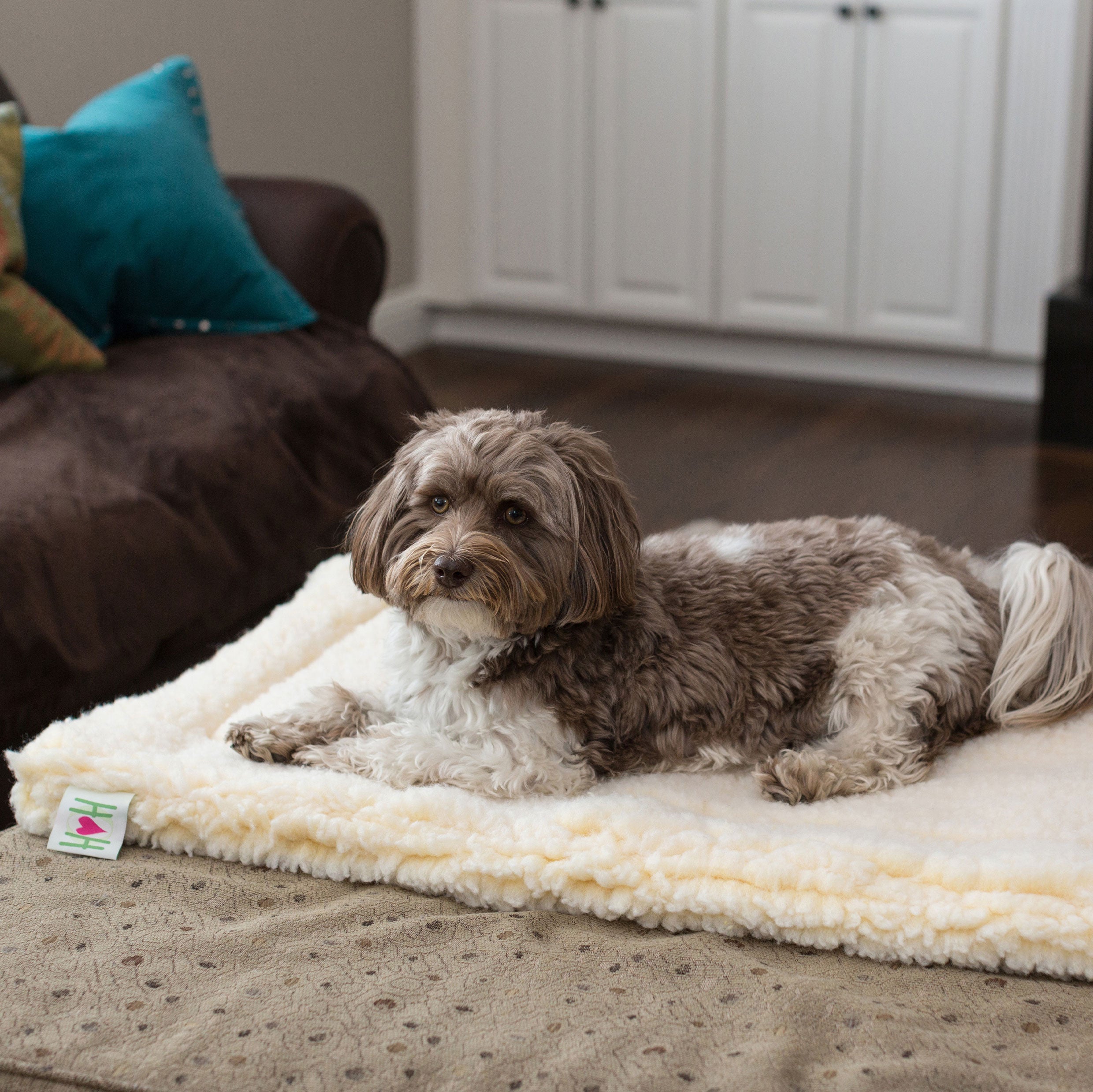 HuggleFleece® Mat Cat & Dog Bed - Paws & Purpose