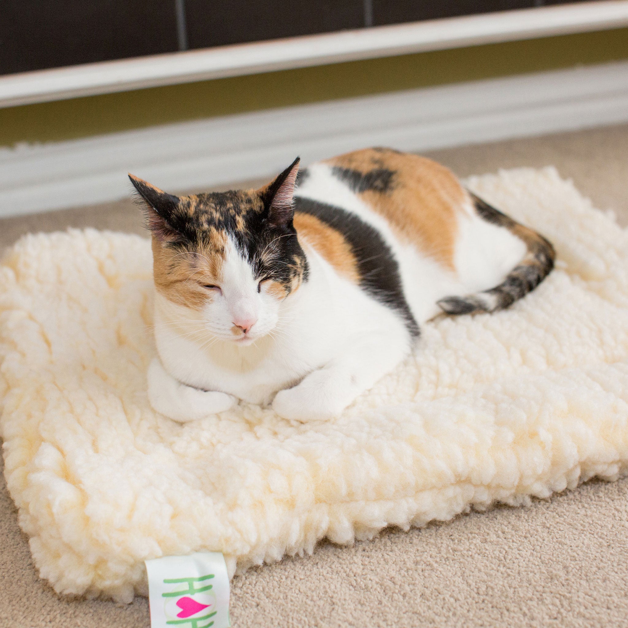 HuggleFleece® Mat Cat & Dog Bed - Paws & Purpose