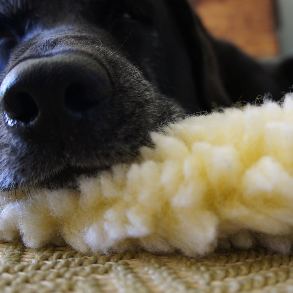 HuggleFleece® Mat Cat & Dog Bed - Paws & Purpose